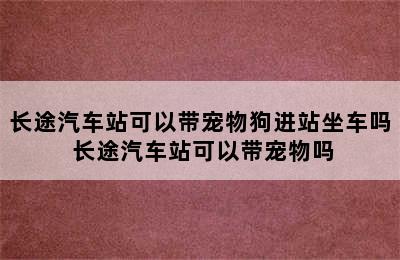 长途汽车站可以带宠物狗进站坐车吗 长途汽车站可以带宠物吗